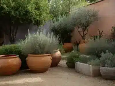 Mediterranean oasis garden inspiration