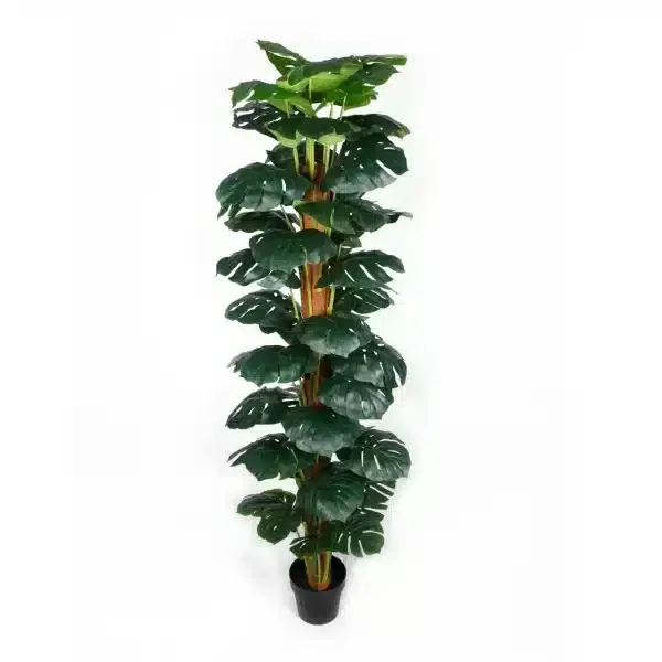 Artificial Monstera Adansonii Money Plant With Decorative Pot 180cm