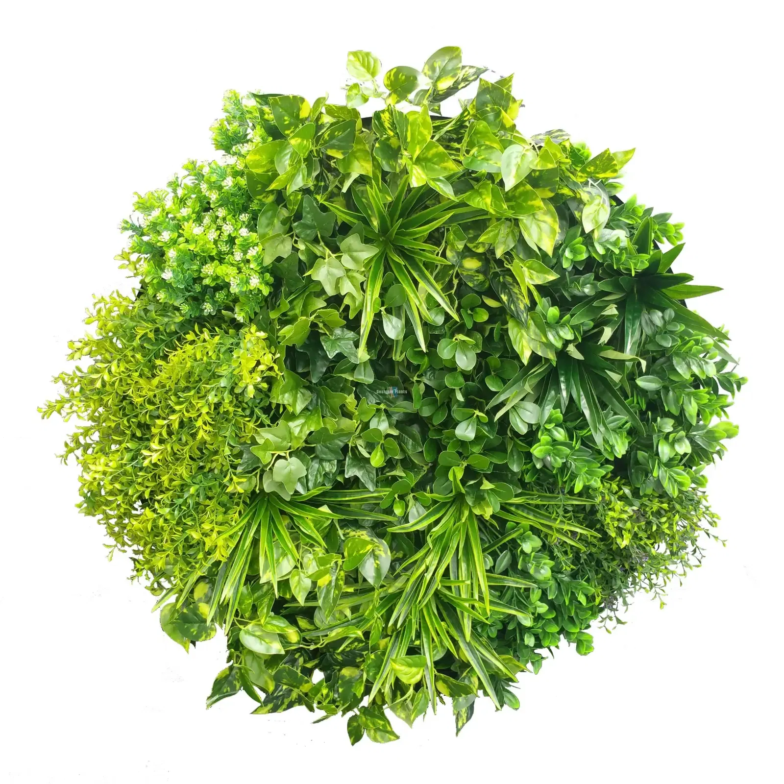 Artificial Plant Green Wall Disks 80cm