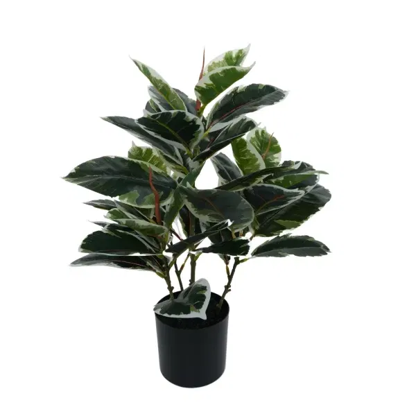 Artificial Bushy Dense Variegated Ficus Tree (Rubber Tree) 50cm