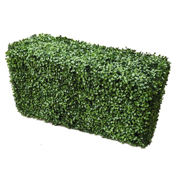 Portable Boxwood Hedge UV Resistant 100cm Long x 50cm High