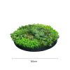 Artificial Green Wall Disc Art 150cm Mixed Ivy and Philodendron (Onyx Black)