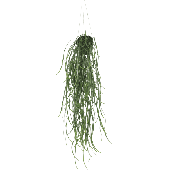 Artificial Hanging Potted Plant (Willow Leaf) 66cm UV Resistant