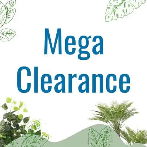 Super Clearance