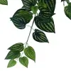 Artificial Watermelon Peperomia Hanging Vine Leaves