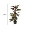 Artificial Wide Leaf Cordyline Plant 90cm