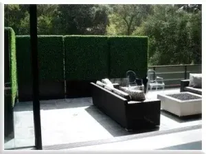 Custom made dark green boxwood hedgesTEST