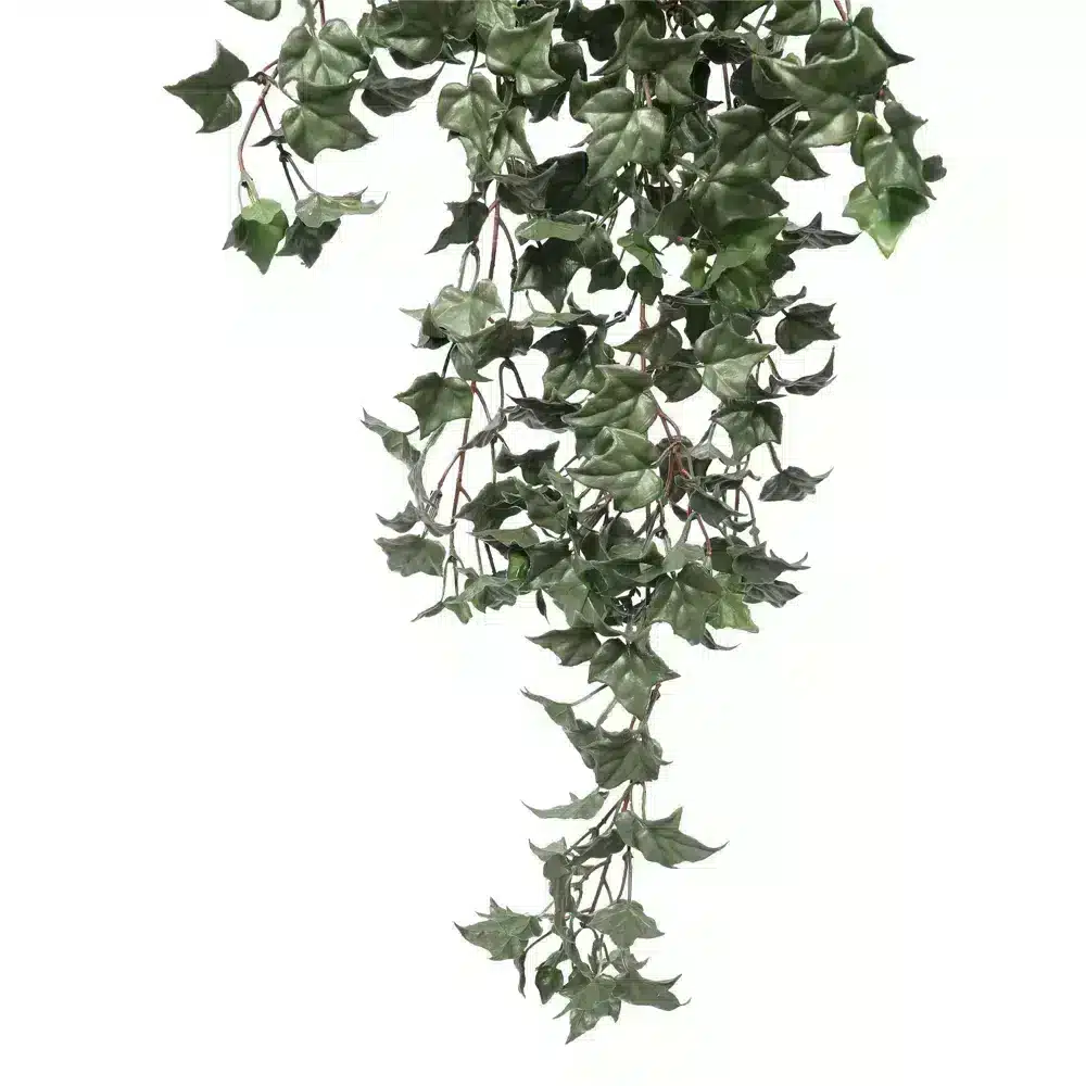 Close up of hanging artificial ivy, featuring lifelike leaves and realistic branching design.