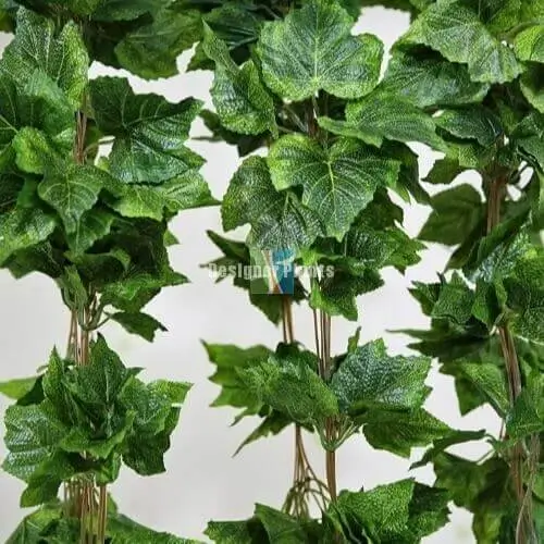 Ivy, Garlands and Stems