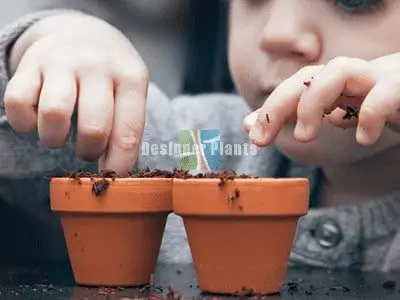 Gardening for kids