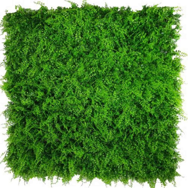 Mediterranean Fern Vertical Garden / Green Wall UV Resistant SAMPLE