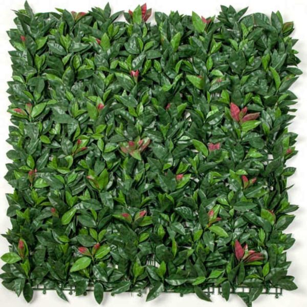 Photinia (Red Robin) Hedge Leaf Screens / Panels UV Resistant SAMPLE