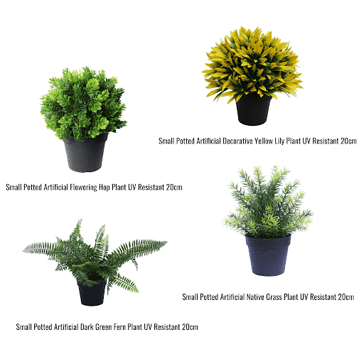 UV Treated 20cm Small Potted Plants Bundle