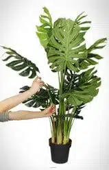 Step 2 Unfold your fake plant unfold the branches from the bottom first