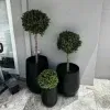 Topiary Balls in Black Planters