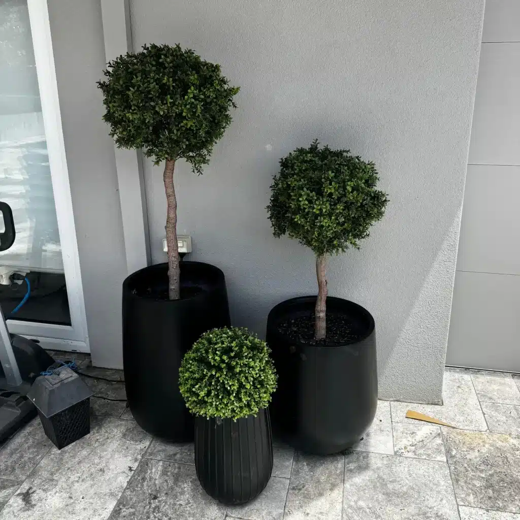 Elegant Greenery for a Sophisticated Home EntranceTEST