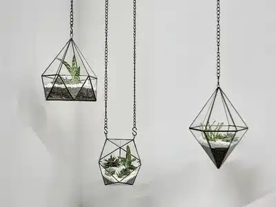 A stylish new look for your interior with hanging plants