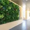 artifical premium living wall along a commercial hallway 2