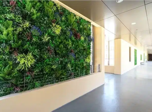 artifical premium living wall along a commercial hallway 2