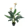 artificial bird of paradise plant closeup flower