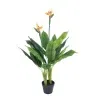 artificial bird of paradise plant leaves closeup