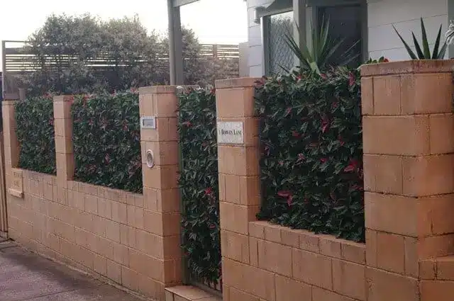 Front fence privacy screen with faux photinia hedge panels