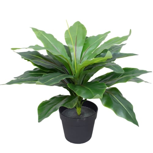 Artificial Potted Wide Leaf Birds Nest Fern 50cm