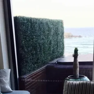 Stunning Portable Buxus HedgesTEST