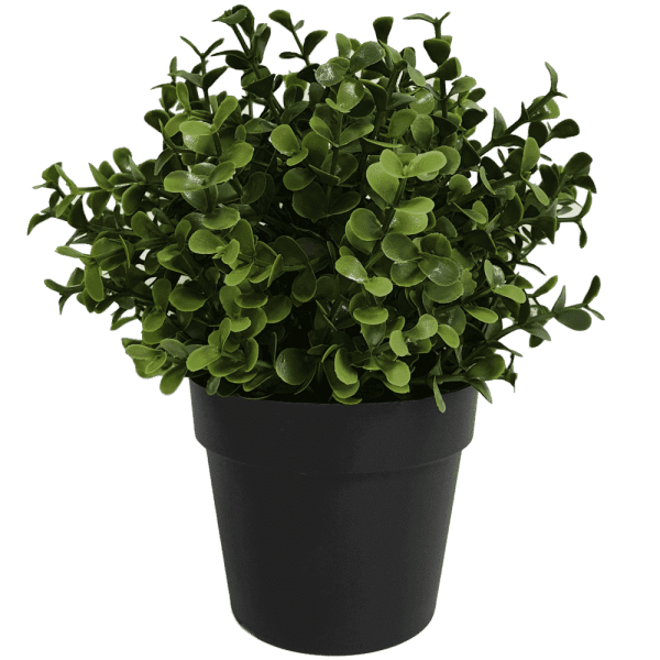 Small Potted Artificial Buxus Plant UV Resistant 20cm