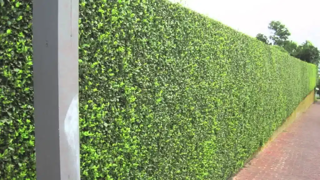 Privacy panels for mesh fenceTEST