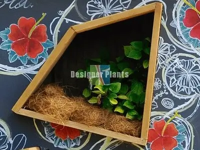 vertical garden for schools