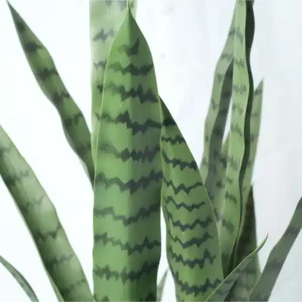 Artificial Snake Plant Tall Dark Green Mothers Iin Law Tongue Leaves.webp