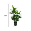 Premium Artificial Cordyline Fructicosa Green Ti Plant 90cm.jpg