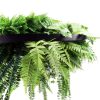 Black Artificial Hanging Green Wall Disc 80cm UV Resistant Faux Foliage (1)