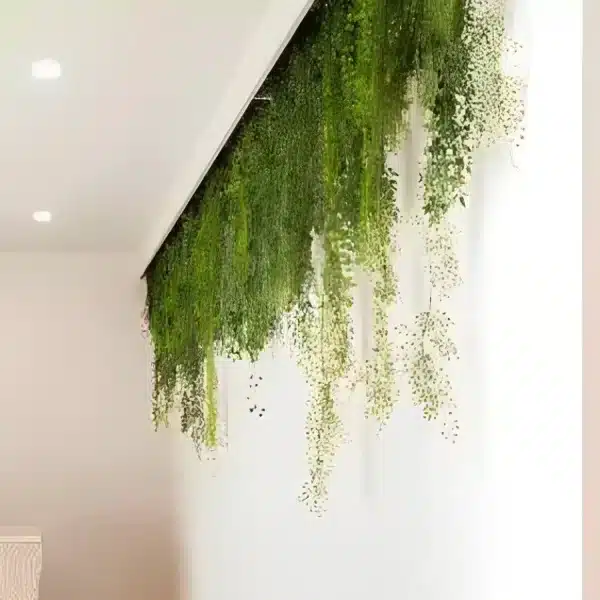 Hanging Plants and Vines