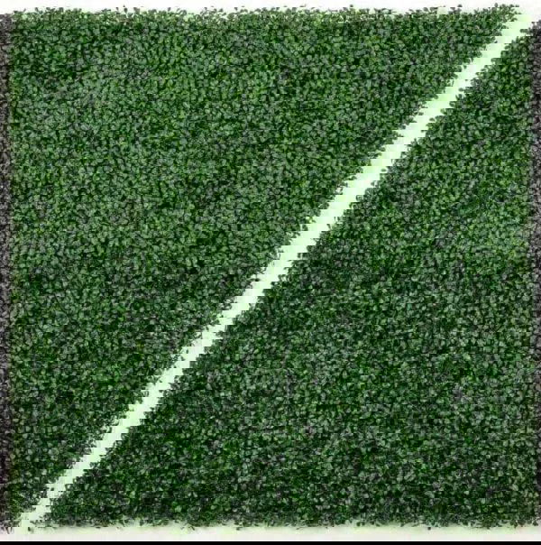 boxwood hedge screen wall panel for privacy