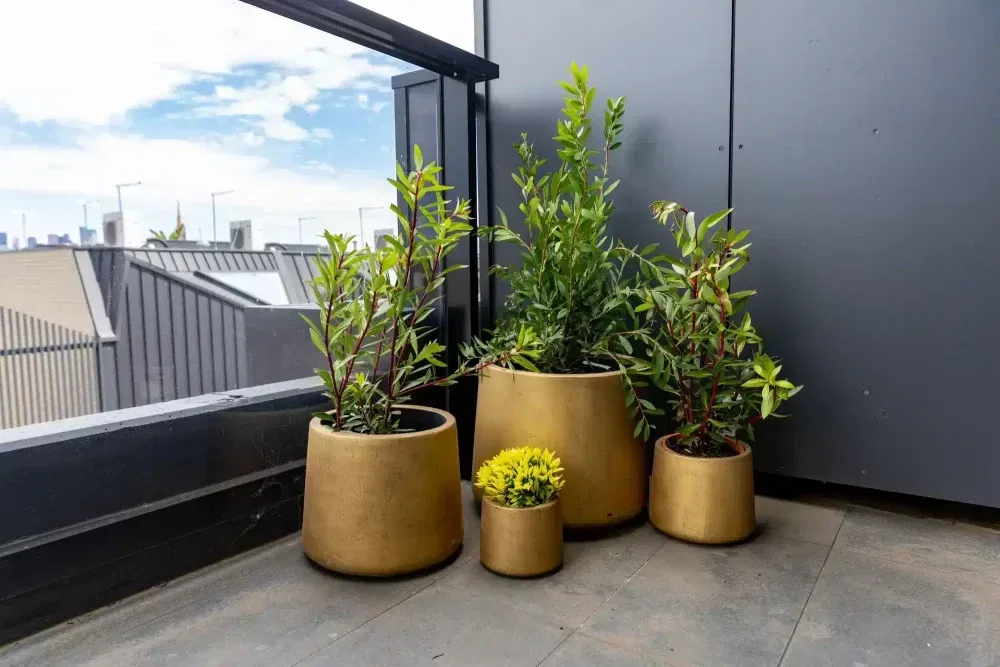 Gold Concrete Planters and Pots with Plants Potted Inside