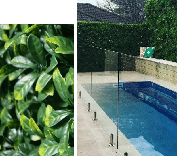 poolside artificial privacy hedge