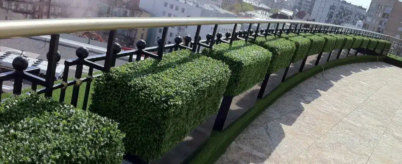 faux boxwood hedges on a balcony