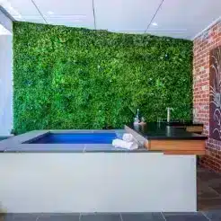 vertical garden without sun exposure