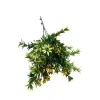 Artificial Dwarf Japanese Golden Yew UV Resistant 27cm Side View