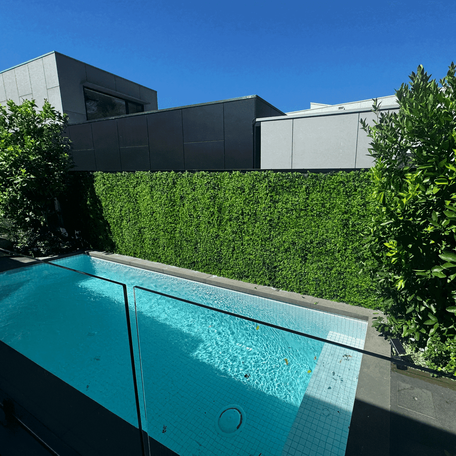 Elevate Your Poolside Oasis: After Deluxe Buxus Hedge Panels in McCrae Victoria