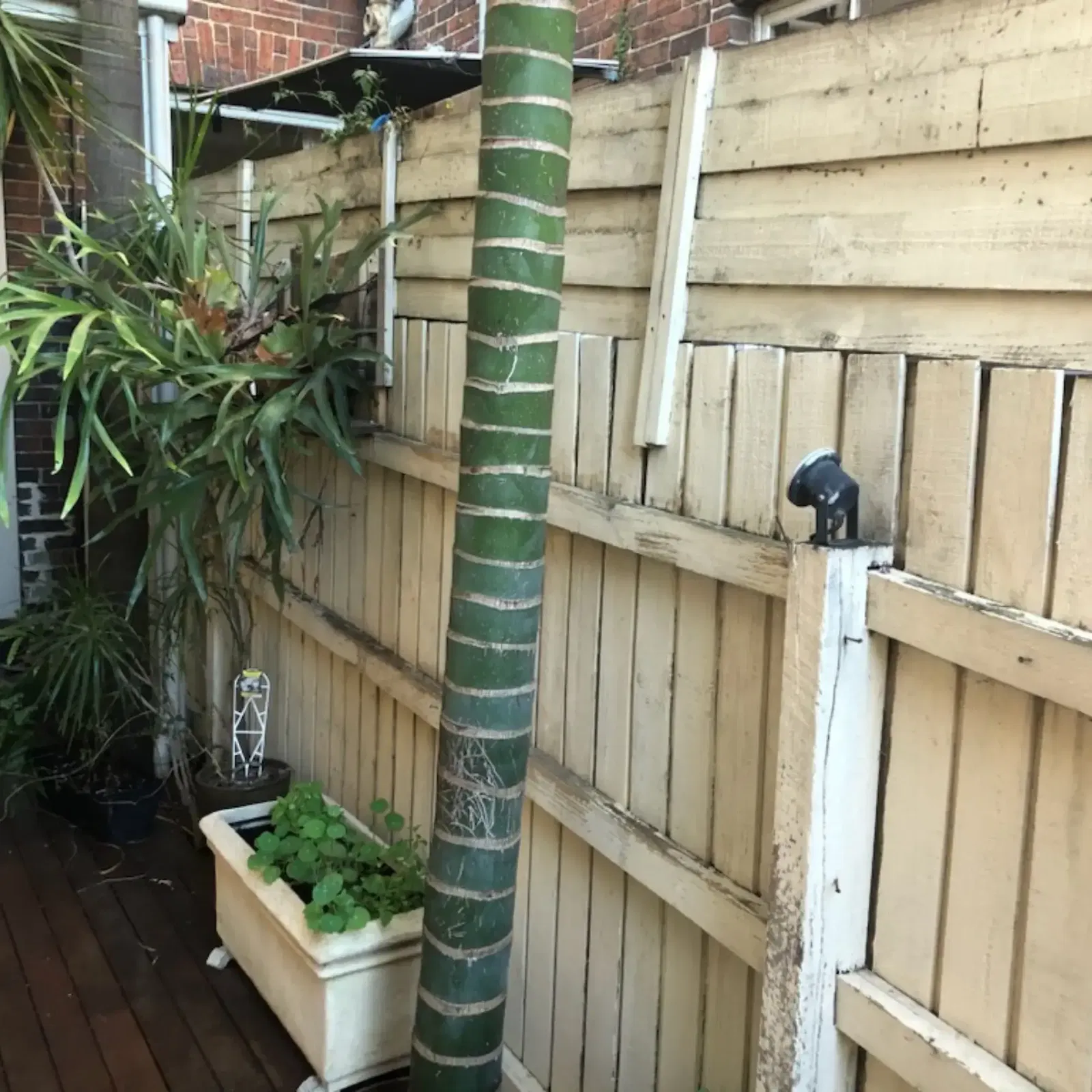 Before – Vertical Garden Transformation from Dull to Lush with Stunning Luxury White Oasis