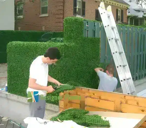 Designer Plants staff installing a hedge fence