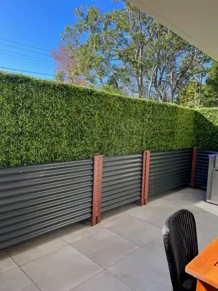 freestanding hedges for privacy