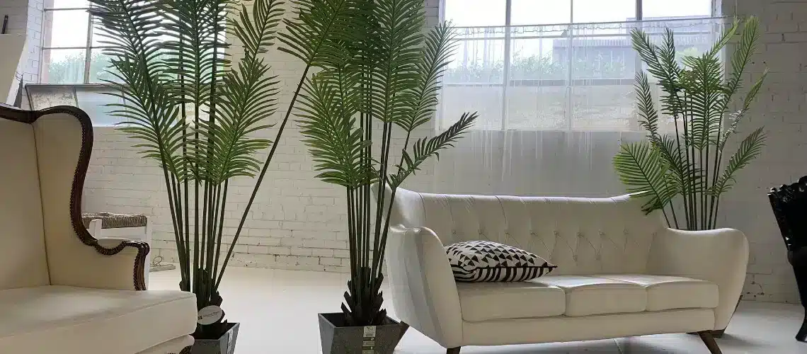 artificial Palm trees in rented space