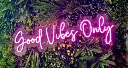 good vibes only designer plant