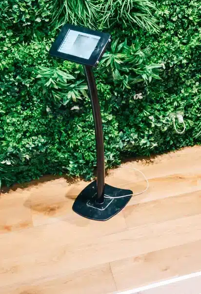 no maintenance required designer plant