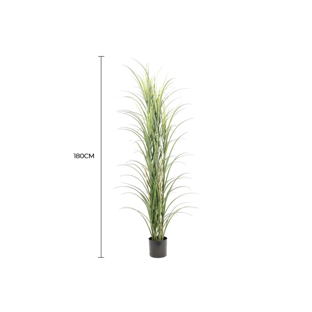 Premium Potted Artificial Long Grass (Yucca Grass Reed Grass) 180cm UV Resistant