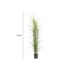 Premium Potted Artificial Long Grass (Yucca Grass Reed Grass) 180cm UV Resistant